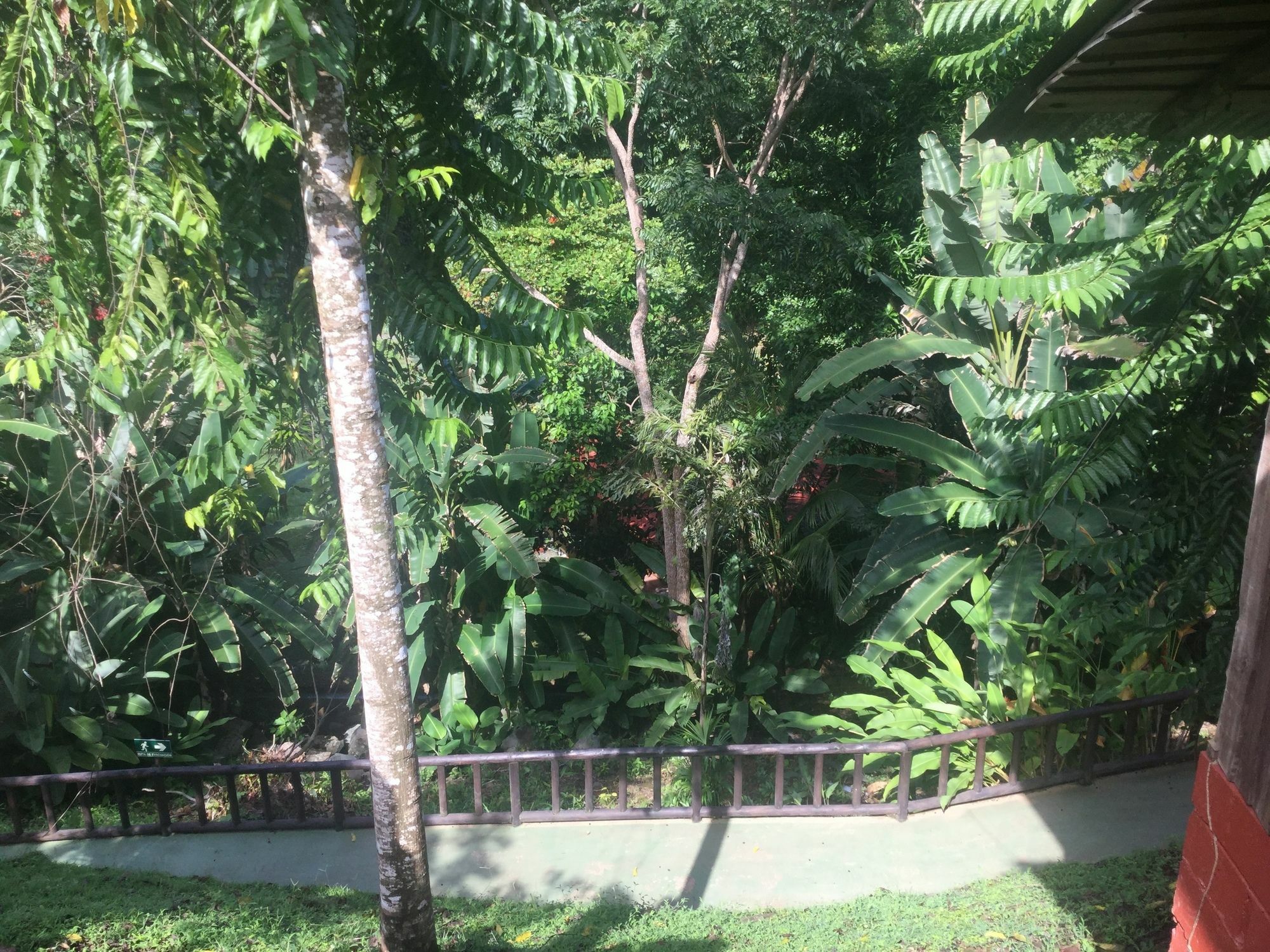 Hotel Samsara Uvita Zewnętrze zdjęcie