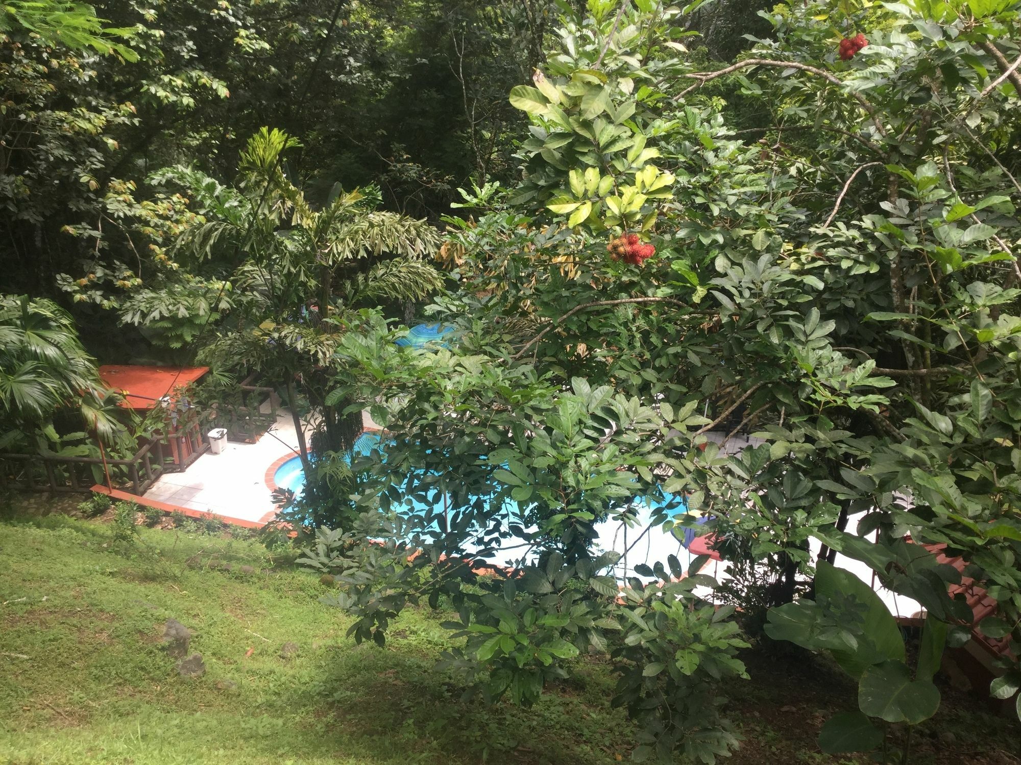 Hotel Samsara Uvita Zewnętrze zdjęcie